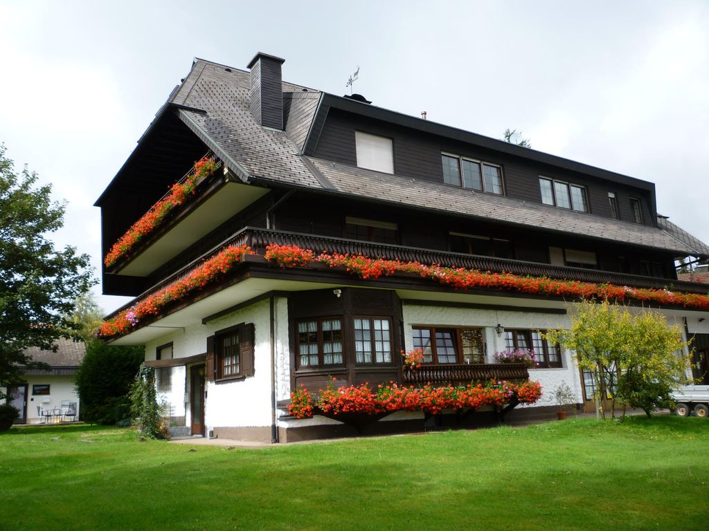 helles 1-Zimmer Appartement (und 2-Zimmer Wohnung Kosten ab - Euro 240 ...