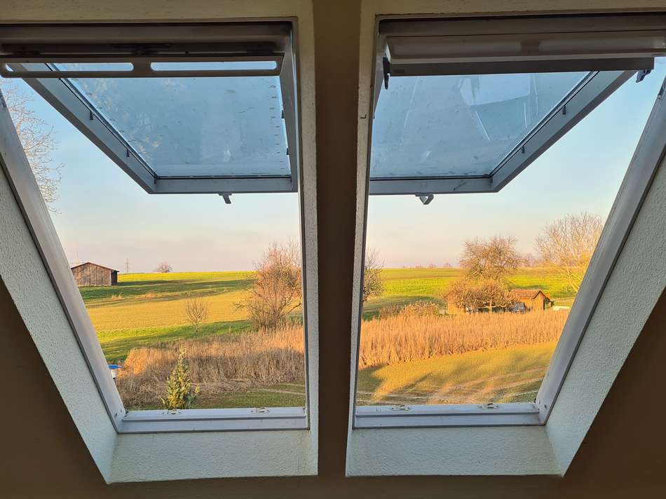 und wieder dieser Blick