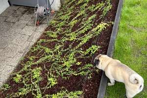 Property thumbnail 31