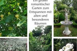 Wohnerlebnis in der alten Dorfschule! Platz für die ganze Familie – Lüchow-Dannenberg (Kreis) – Vorschaubild 6