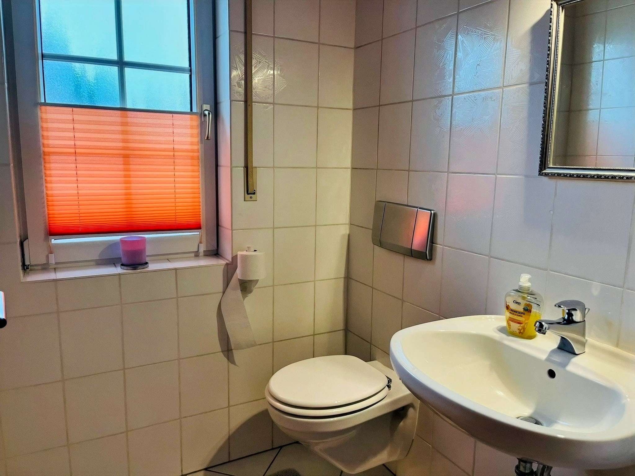 Immobilie in Pillig - Einfamilienhaus mit ELW – Wohnen zwischen Licht, Ruhe und Weite - Bild 6