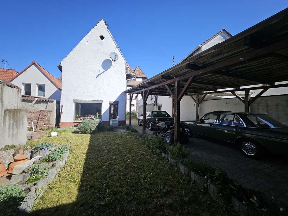 Garten 1
