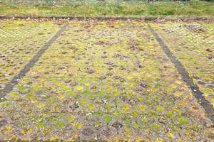 Property thumbnail 19