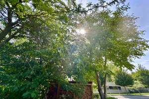 Property thumbnail 23