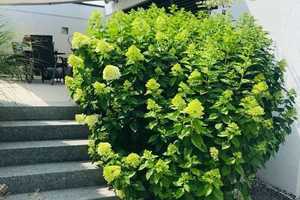 Mit Stil und Eleganz Wohnen in ruhiger Lage !!! – Esslingen (Kreis) – Vorschaubild 27