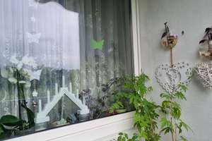 Striesen-Süd: 2-Zimmer-Wohnung mit Balkon und Einbauküche – Die vollständige Adresse der Immobilie erhältst du vom Anbieter., 1309 Striesen-Süd, Dresden – Vorschaubild 27