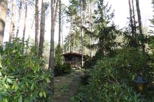 Idyllisch Wohnen im Holzhaus - mitten in der Natur! – Katenbergsheide 6, 29308 Winsen (Aller) – Vorschaubild 49