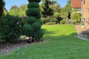 großzügiger Bungalow am Südharrl - ideal für Familien – Schaumburg (Kreis) – Vorschaubild 7