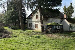 Ostseegrundstück mit Wohnhaus, einzigartig, naturbelassen und weiteren Bebauungsmöglichkeiten – Lindenstraße 17, 23968 Zierow – Vorschaubild 9