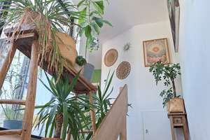 2,5-Zimmer-Maisonette-Wohnung mit Dachterrasse im wunderschönen Auenviertel – Die vollständige Adresse der Immobilie erhältst du vom Anbieter., 50996 Rodenkirchen (Ortsteil), Köln – Vorschaubild 8