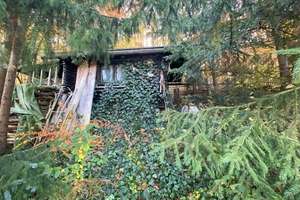 Wohnen wie in den Bergen - Schönes Haus mit Blick und großem Garten in Saal an der Donau – Die vollständige Adresse der Immobilie erhältst du vom Anbieter., 93342 Saal an der Donau – Vorschaubild 4