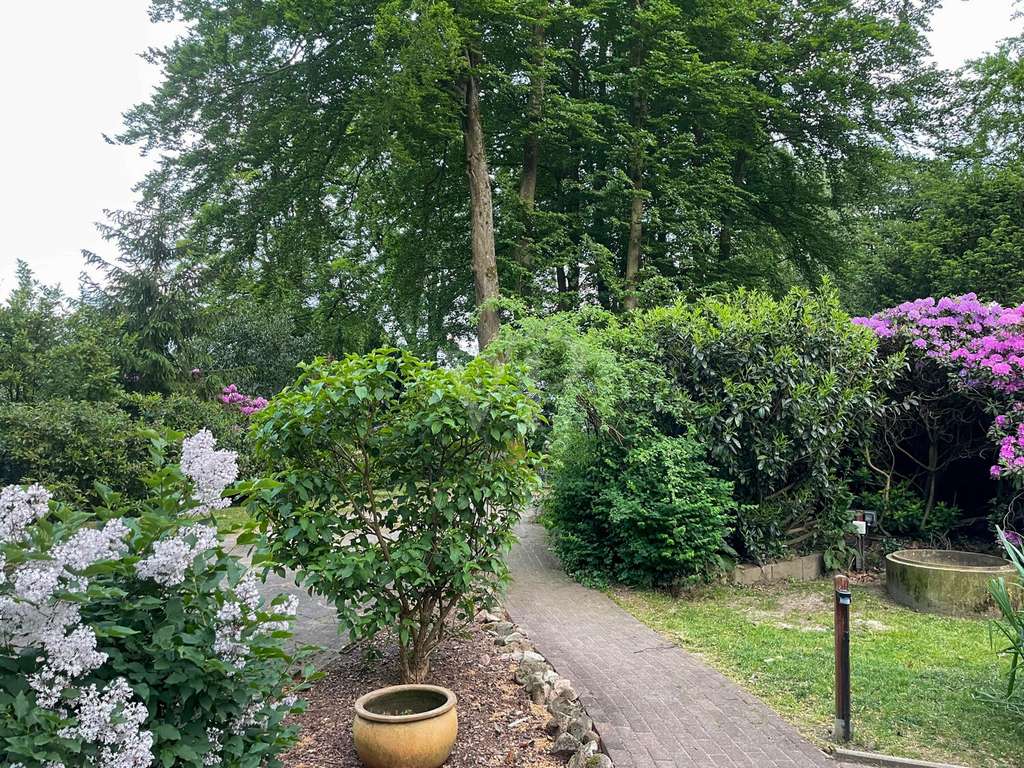 Immobilie in Dassendorf - Traumgrundstück am Waldrand – charmantes Haus mit großem Potenzial ! - Bild 4