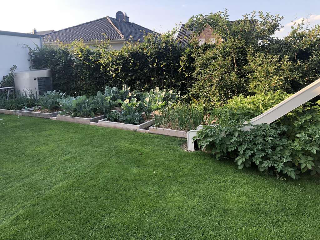 Immobilie in Radbruch - Traumhaus von Privat - perfekte Anbindung nach Hamburg & Lüneburg - Bild 4