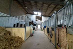 Moderne Reitanlage mit Wohnhaus – Toplage im Rhein-Main-Gebiet – Die vollständige Adresse der Immobilie erhältst du vom Anbieter., 55271 Stadecken-Elsheim – Vorschaubild 22