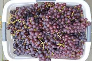 Property thumbnail 35