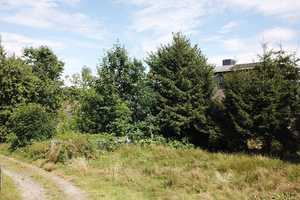 Sanierung oder Neubau - Mehrfamilienhaus mit traumhaftem Grundstück in Zwönitz - Hormersdorf – Hormersdorfer Anger 9, 8297 Erzgebirgskreis – Vorschaubild 4