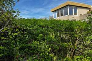 Futuristischer Bungalow aus den 70´er Jahren - modernisierungsbedürftig - aber es lohnt sich  ! – Dr.-Hans-Güthlein-Weg 19, 91555 Ansbach (Kreis) – Vorschaubild 17