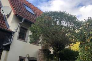 Kleine Villa statt lebenslanger Miete – Hauptstrasse 5, 66879 Reichenbach-Steegen – Vorschaubild 9