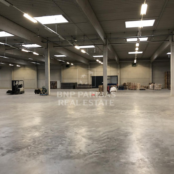 Logistikhalle in Stelle zur Miete