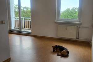 Provisionsfrei - helle 3-Raumwohnung mit Balkon – 39128 Neustädter Feld, Magdeburg – Vorschaubild 14