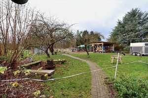 Modernes Holzbohlenarchitektenhaus am Feldrand mit Paddock und Reitplatz – Peine (Kreis) – Vorschaubild 16
