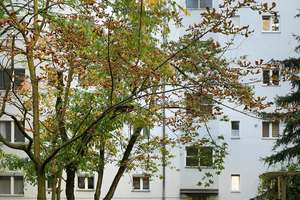 Solide Kapitalanlage: 2 Zi-Wohnung nahe Volkspark - Haus energetisch-saniert (Klasse C) - mit Aufzug – Die vollständige Adresse der Immobilie erhältst du vom Anbieter., 10715 Wilmersdorf, Berlin – Vorschaubild 13