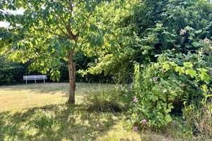 Charmanter Bungalow mit großem Garten in Gievenbeck! – Die vollständige Adresse der Immobilie erhältst du vom Anbieter., 48161 Gievenbeck, Münster – Vorschaubild 2