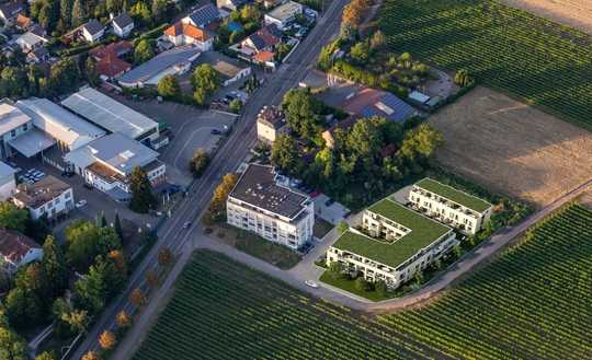 Großzügiges Reihenhaus mit Penthouseetage und Garten in Südwestausrichtung zum Erstbezug