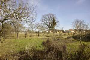 Haus mit 5 Zimmern und schönem Garten – Kemlitz- Dorfweg 12, 15936 Teltow-Fläming (Kreis) – Vorschaubild 21