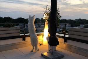 Property thumbnail 26