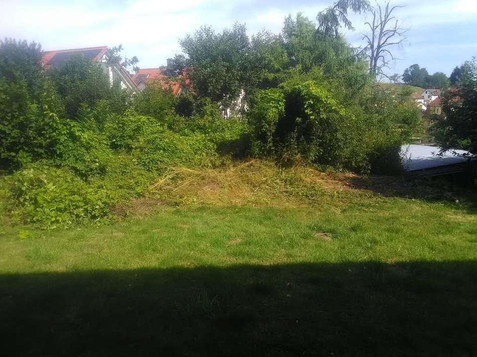 Garten5