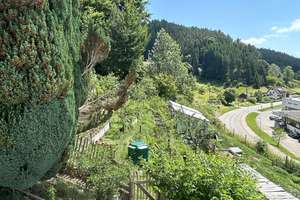 Autark Wohnen mit Selbstversorgergarten - wenn Ihnen Unabhängigkeit wichtig ist. – Die vollständige Adresse der Immobilie erhältst du vom Anbieter., 78182 Schramberg – Vorschaubild 5