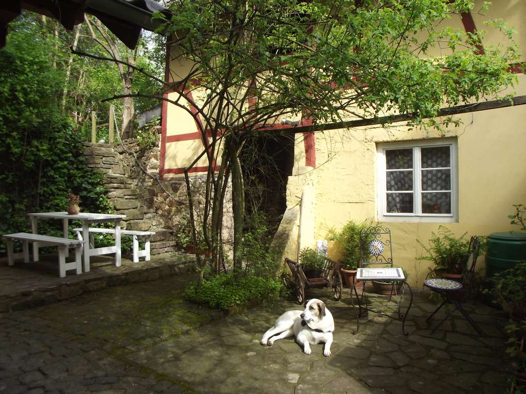 Immobilie in Bad Breisig - Historisches Bauernhaus mit 9 Zimmern in Waldorf, 140 m² Wohnfläche - Bild 2