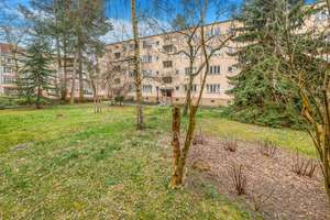 Bezugsfrei!!! Frisch sanierte 2 Zimmerwohnung mit sonnigem Balkon – Steglitzer Damm 57a, 12169 Steglitz, Berlin – Vorschaubild 2