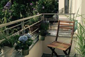 Helle möblierte Designerwohnung im Winsviertel / Prenzlauer Berg – Winsstraße 25, 10405 Prenzlauer Berg, Berlin – Vorschaubild 12