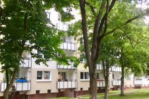 Die gefällt mir: 2-Zimmer-Citywohnung – Amundsenweg 8, 30655 Groß-Buchholz, Hannover – Vorschaubild 2