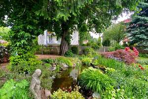 Großzügige 3-Zimmer-Dachgeschoßwohnung am Großen Garten – Wiener Straße 67, 1219 Seevorstadt-Ost/Großer Garten, Dresden – Vorschaubild 12