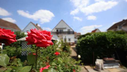 Bild von KINDERPARADIES MIT GARTEN