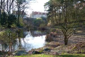 Property thumbnail 13