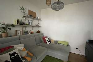 Hervorragend und ruhig wohnen im "Candis-Viertel" in einer 2-Zimmer-Wohnung mit Terrasse – Die vollständige Adresse der Immobilie erhältst du vom Anbieter., 93055 Ostenviertel, Regensburg – Vorschaubild 3