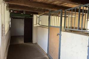 Tierliebhaber aufgepasst ! – Die vollständige Adresse der Immobilie erhältst du vom Anbieter., 59505 Bad Sassendorf – Vorschaubild 21