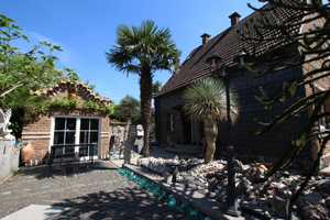 Mediterrane Palmen Insel in Crange – Dorstener Str. 440 a, 44653 Herne – Vorschaubild 12