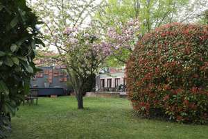 Property thumbnail 12