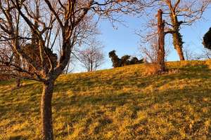 Paradies für Familien und Gartenliebhaber - top Aussichtslage Achalm – Die vollständige Adresse der Immobilie erhältst du vom Anbieter., 72766 Reutlingen-Mitte, Reutlingen – Vorschaubild 31