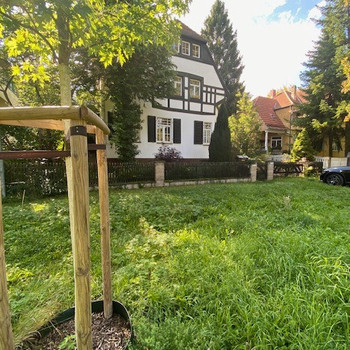 Angebot bis 15.03.2026-Villa im Südviertel von Weimar