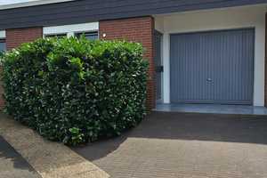 Property thumbnail 10