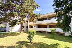 ruhiges und großzügiges Apartment im Grünen