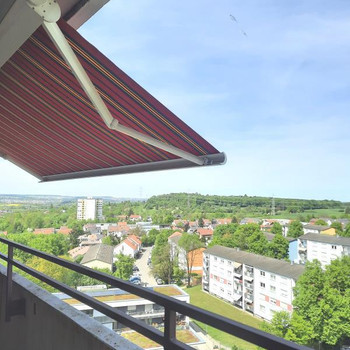 pflanze elefantenfuß standort Elefantenfuß | kaufen
