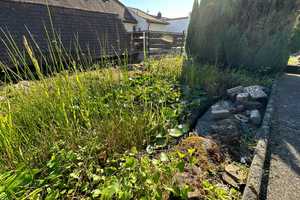 +++ Einfamilienhaus mit Sandstein-Flair, sonnigem Garten und Stellplatz in bevorzugter, ruhiger S... – Südwestpfalz (Kreis) – Vorschaubild 25