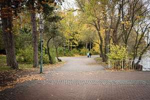 Property thumbnail 13